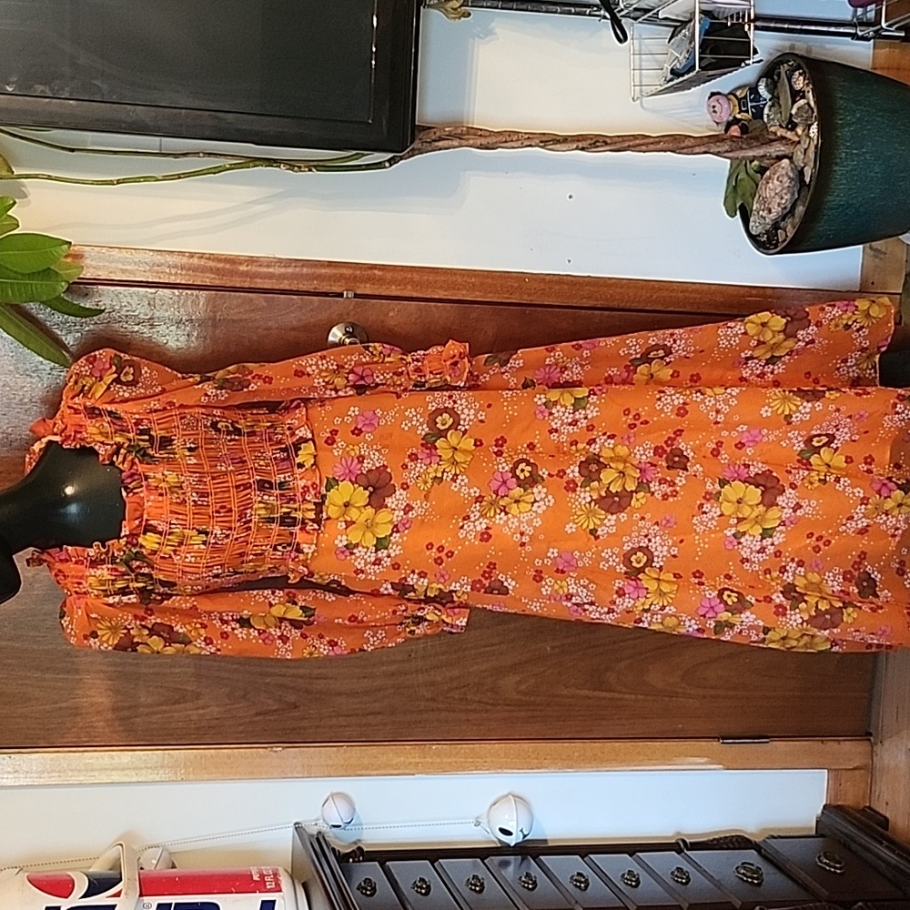 Vintage 70’s Algo  Chiffon Dress Semi Sheer Printed Floral